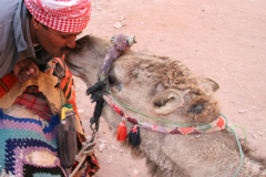 Petra-Camel